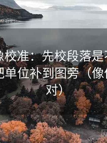 YY漫画像校准：先校段落是不是跳层了，再把单位补到图旁（像做复句校对）