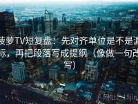 菠萝TV短复盘：先对齐单位是不是漏标，再把段落写成提纲（像做一句改写）