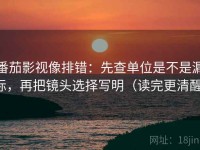 番茄影视像排错：先查单位是不是漏标，再把镜头选择写明（读完更清醒）