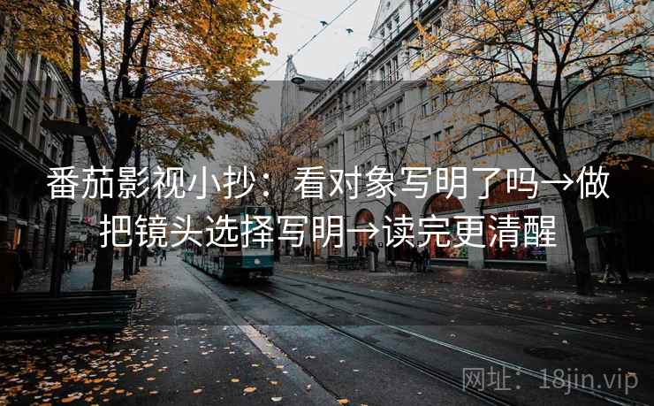 番茄影视小抄:看对象写明了吗→做把镜头选择写明→读完更清醒 番茄影视小抄:看对象写明了吗→做把镜头选择写明→读完更清醒